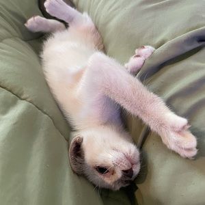 Meet your Posher, Haley